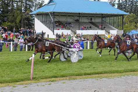 Methven Trotting Club.